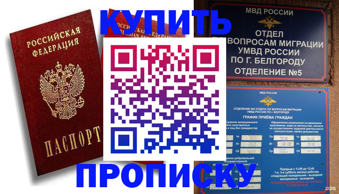 прописка иностранных граждан в Камышине